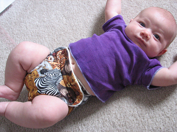 beckett-melban-animal-diaper